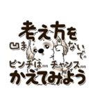 シーズー犬 2024『文字だらけで励ます』（個別スタンプ：23）