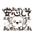 シーズー犬 2024『文字だらけで励ます』（個別スタンプ：31）