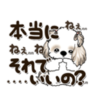 シーズー犬 2024『文字だらけで励ます』（個別スタンプ：36）