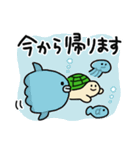 かめくん4（個別スタンプ：5）