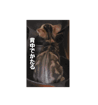 我が家のあつまり猫1（個別スタンプ：8）