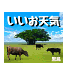 八重山諸島巡り大好き。沖縄行きたい！（個別スタンプ：1）