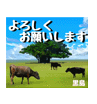 八重山諸島巡り大好き。沖縄行きたい！（個別スタンプ：2）