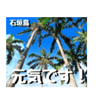 八重山諸島巡り大好き。沖縄行きたい！（個別スタンプ：11）