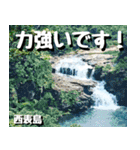 八重山諸島巡り大好き。沖縄行きたい！（個別スタンプ：15）