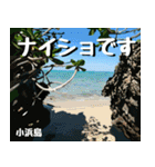 八重山諸島巡り大好き。沖縄行きたい！（個別スタンプ：29）