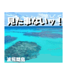 八重山諸島巡り大好き。沖縄行きたい！（個別スタンプ：34）