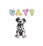 ダルメシアンの子犬スタンプ（個別スタンプ：39）