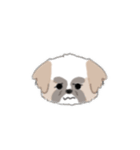 ぺこたん！（個別スタンプ：16）