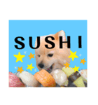 Halu I’ll eat sushi（個別スタンプ：1）