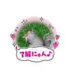 可愛い！動物達のスタンプ（個別スタンプ：1）