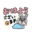 可愛い！動物達のスタンプ（個別スタンプ：2）