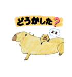 カピバラさん仲良し（個別スタンプ：1）
