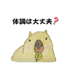 カピバラさん仲良し（個別スタンプ：12）