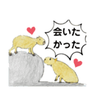 カピバラさん仲良し（個別スタンプ：17）