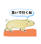 カピバラさん仲良し（個別スタンプ：20）
