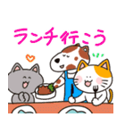 おねこちんと行こう！スタンプ（個別スタンプ：6）