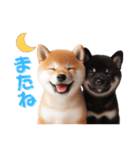 よく使う！パステル文字♡柴犬＆黒柴（個別スタンプ：2）