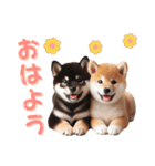 よく使う！パステル文字♡柴犬＆黒柴（個別スタンプ：4）