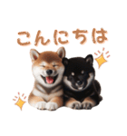 よく使う！パステル文字♡柴犬＆黒柴（個別スタンプ：7）