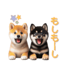 よく使う！パステル文字♡柴犬＆黒柴（個別スタンプ：12）