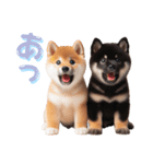 よく使う！パステル文字♡柴犬＆黒柴（個別スタンプ：13）