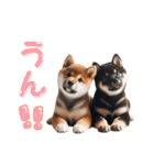 よく使う！パステル文字♡柴犬＆黒柴（個別スタンプ：18）