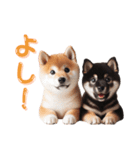 よく使う！パステル文字♡柴犬＆黒柴（個別スタンプ：22）