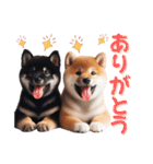 よく使う！パステル文字♡柴犬＆黒柴（個別スタンプ：30）