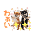 よく使う！パステル文字♡柴犬＆黒柴（個別スタンプ：33）