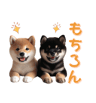 よく使う！パステル文字♡柴犬＆黒柴（個別スタンプ：35）