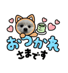 こむぎさん(3)（個別スタンプ：2）