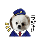 こむぎさん(3)（個別スタンプ：8）