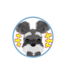 ことこと動くシュナウザー毎日（個別スタンプ：9）