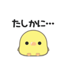 ぽふぴよ***お返事（個別スタンプ：7）