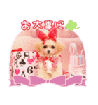 Honey 1th Birthday（個別スタンプ：2）