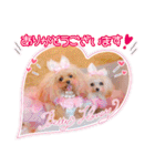 Honey 1th Birthday（個別スタンプ：4）