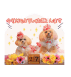 Honey 1th Birthday（個別スタンプ：15）