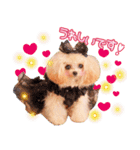 Honey 1th Birthday（個別スタンプ：26）