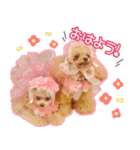 Honey 1th Birthday（個別スタンプ：27）