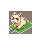 ラクロスを楽しむ！アルパカLINEスタンプ（個別スタンプ：13）