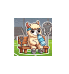 ラクロスを楽しむ！アルパカLINEスタンプ3（個別スタンプ：13）