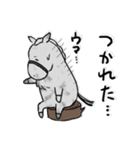 日常/競馬で使えるゆるい競走馬スタンプ（個別スタンプ：13）