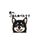 柴犬 夫へ1（個別スタンプ：1）