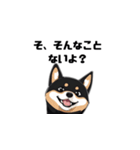 柴犬 夫へ1（個別スタンプ：6）