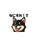 柴犬 夫へ1（個別スタンプ：7）