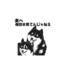 柴犬 夫へ1（個別スタンプ：8）