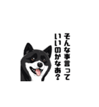 柴犬 夫へ1（個別スタンプ：9）