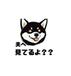 柴犬 夫へ1（個別スタンプ：11）