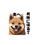 柴犬 夫へ1（個別スタンプ：16）